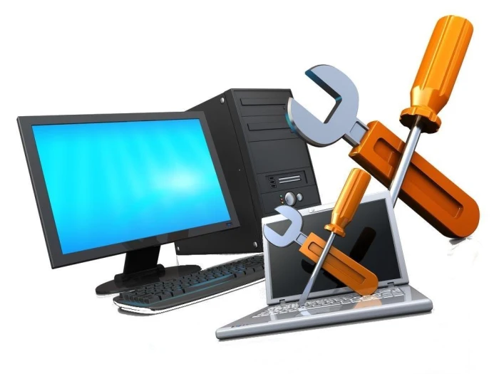 SOFTWARE OR HARDWARE INSPECTION